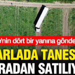 Haber gorseli
